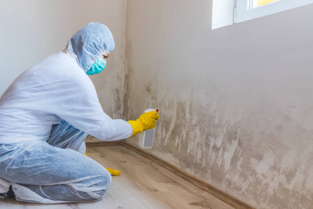 Licensed Mold Testing service in Fort Myer, VA - WQB Mold Removal