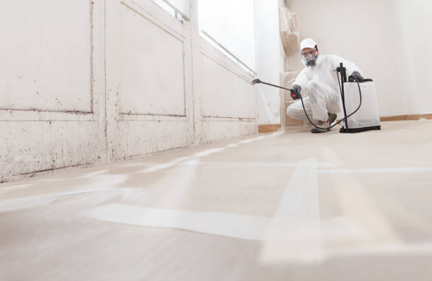 24/7 Emergency Mold Testing experts in Fort Myer, VA