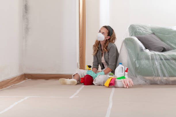 Reliable Mold Testing contractor in Fort Myer, VA by WQB Mold Removal