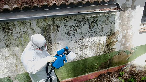Top rated local Mold Testing specialists in Fort Myer, VA
